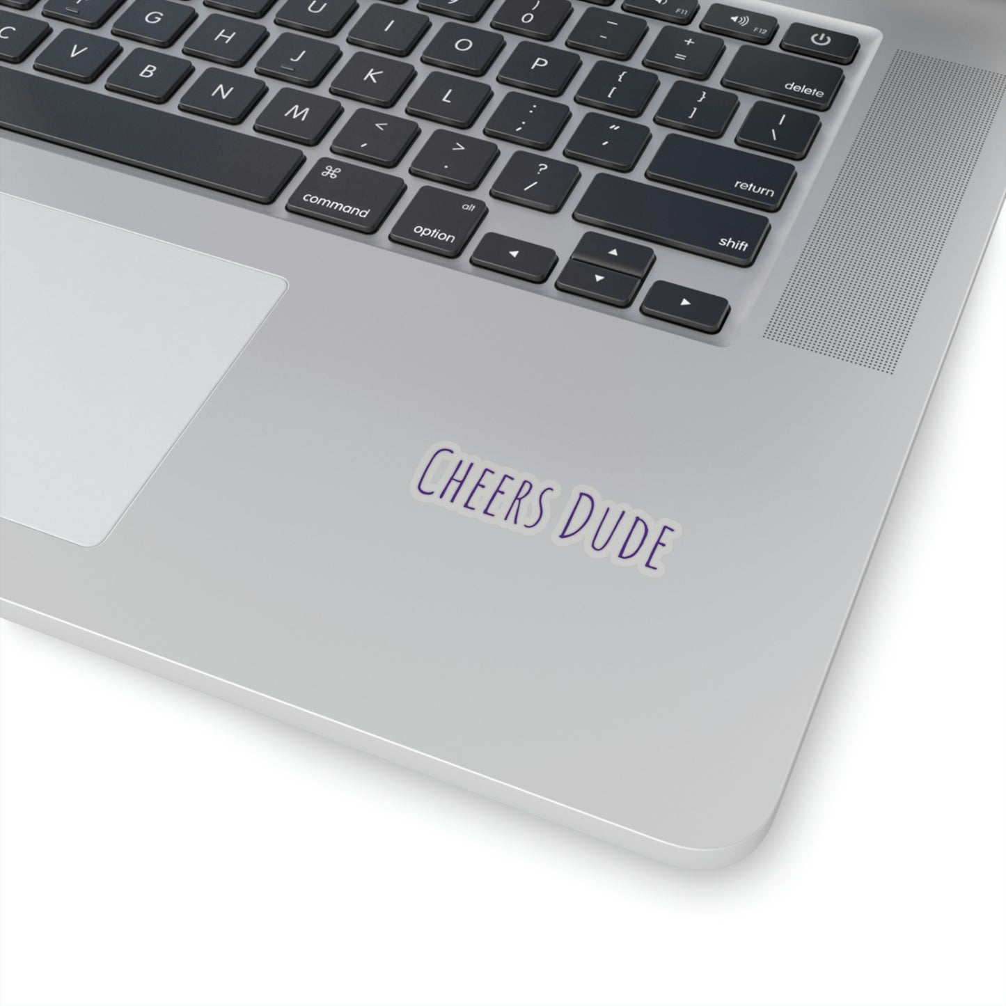 Cheers Dude Stickers